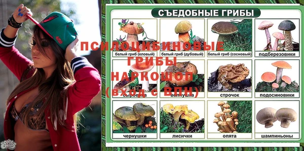 spice Горно-Алтайск