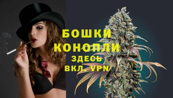 ешки Горняк
