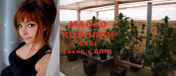 ешки Горняк