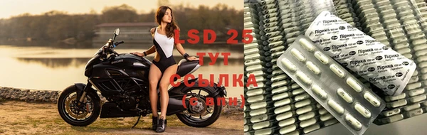 прущие крисы Горнозаводск