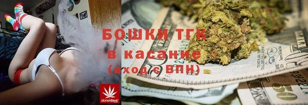 трава Гусев