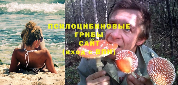 ешки Горняк