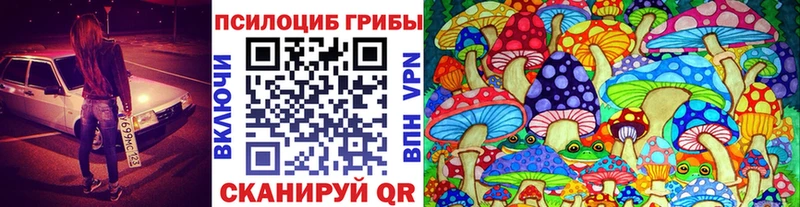 Купить  Агрыз  Псилоцибиновые грибы MAGIC MUSHROOMS 